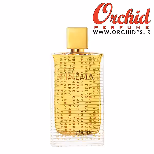 YVES SAINT LAURENT Cinema