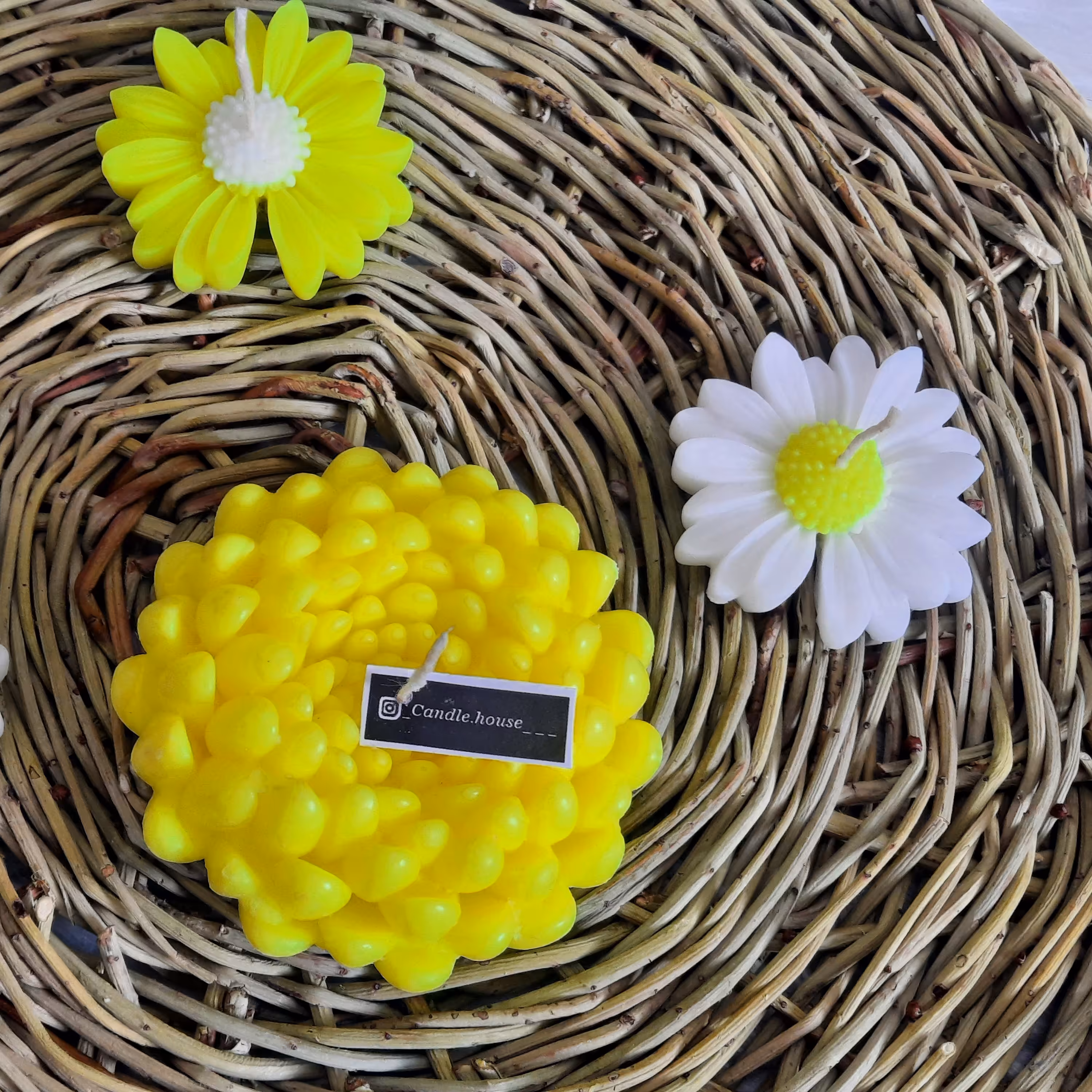 شمع گلداوودی و بابونه ی روآبی