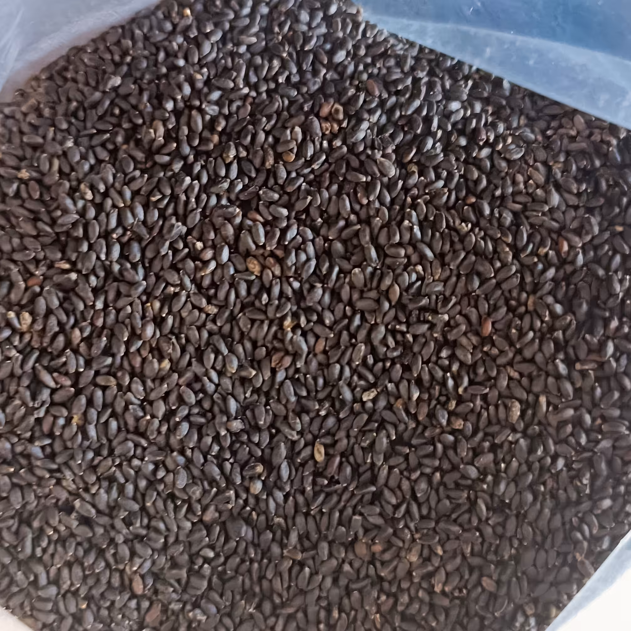 تخم شربتی سوپر ممتاز بسته 250 گرمی 68