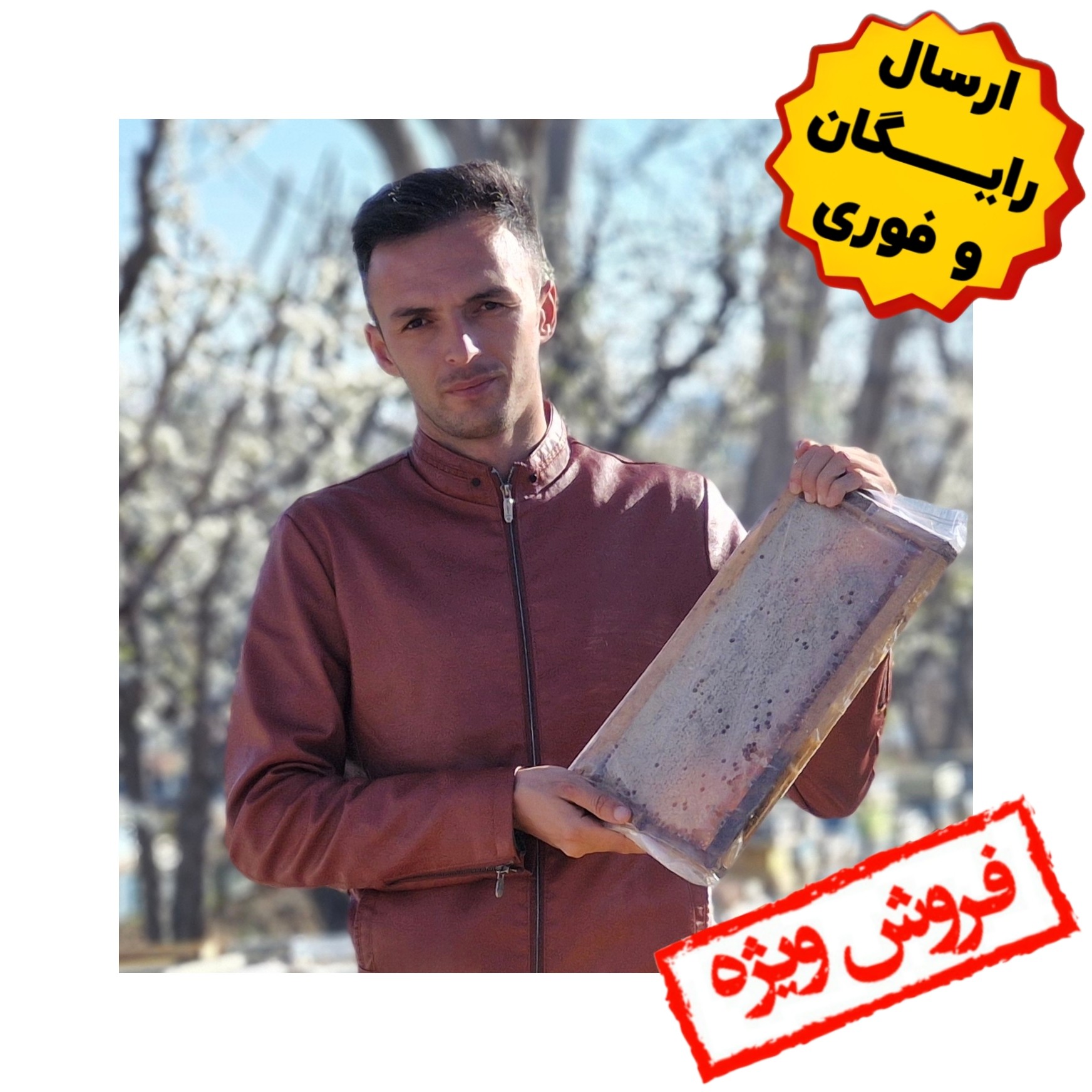 عسل طبیعی باموم ممتاز بالچی (2کیلوگرم) (خرید از زنبوردار نمونه و ارسال رایگان)