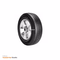 لاستیک 235.55.18 دانلوپ (جفت)