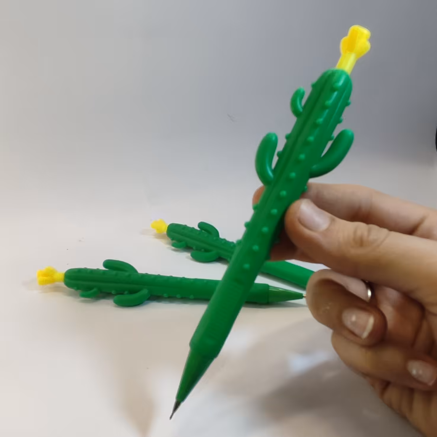 اتود طرح کاکتوس مدادمغزی درجه یک