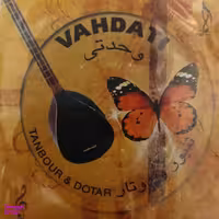 سیم تنبور و دوتار وحدتی مدل 03