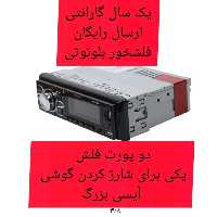204ضبط ماشین گارانتی دار  پاناتک ( ارسال رایگان)