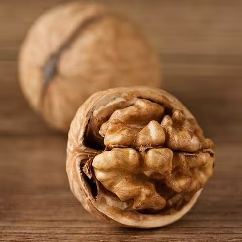 گردو امسالی قیمت فوق العاده  دو کیلویی