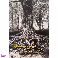 کتاب من اميلی نيستم اثر شايان طيبی ميگونی انتشارات افراز