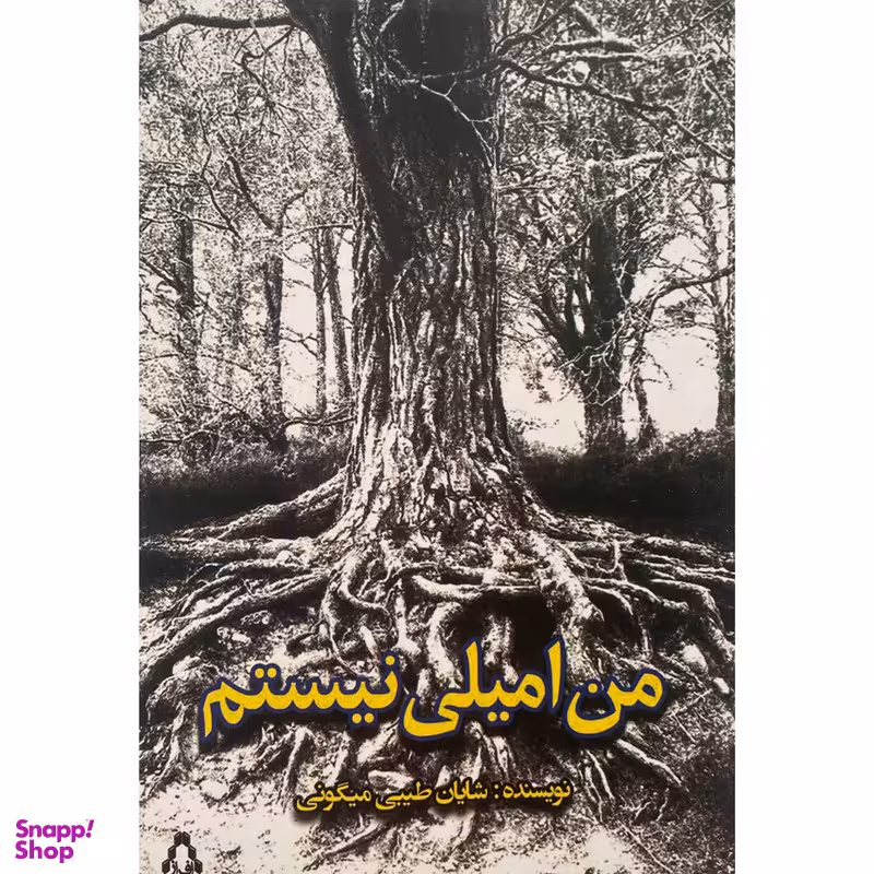 کتاب من اميلی نيستم اثر شايان طيبی ميگونی انتشارات افراز