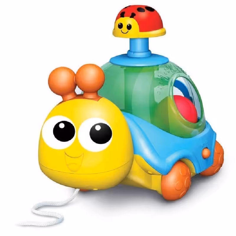 بازی آموزشی وین فان مدل لاکپشت