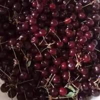 مربا البالو خانگی