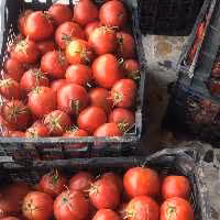 رب گوجه فرنگی سالم از محصولات مازندران طبیعی 1000 گرمی