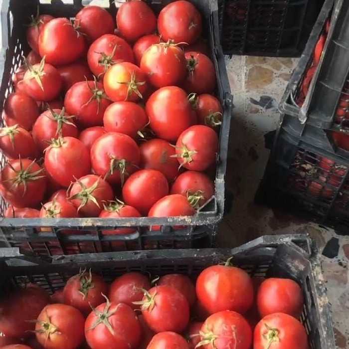 رب گوجه فرنگی سالم از محصولات مازندران طبیعی 1000 گرمی