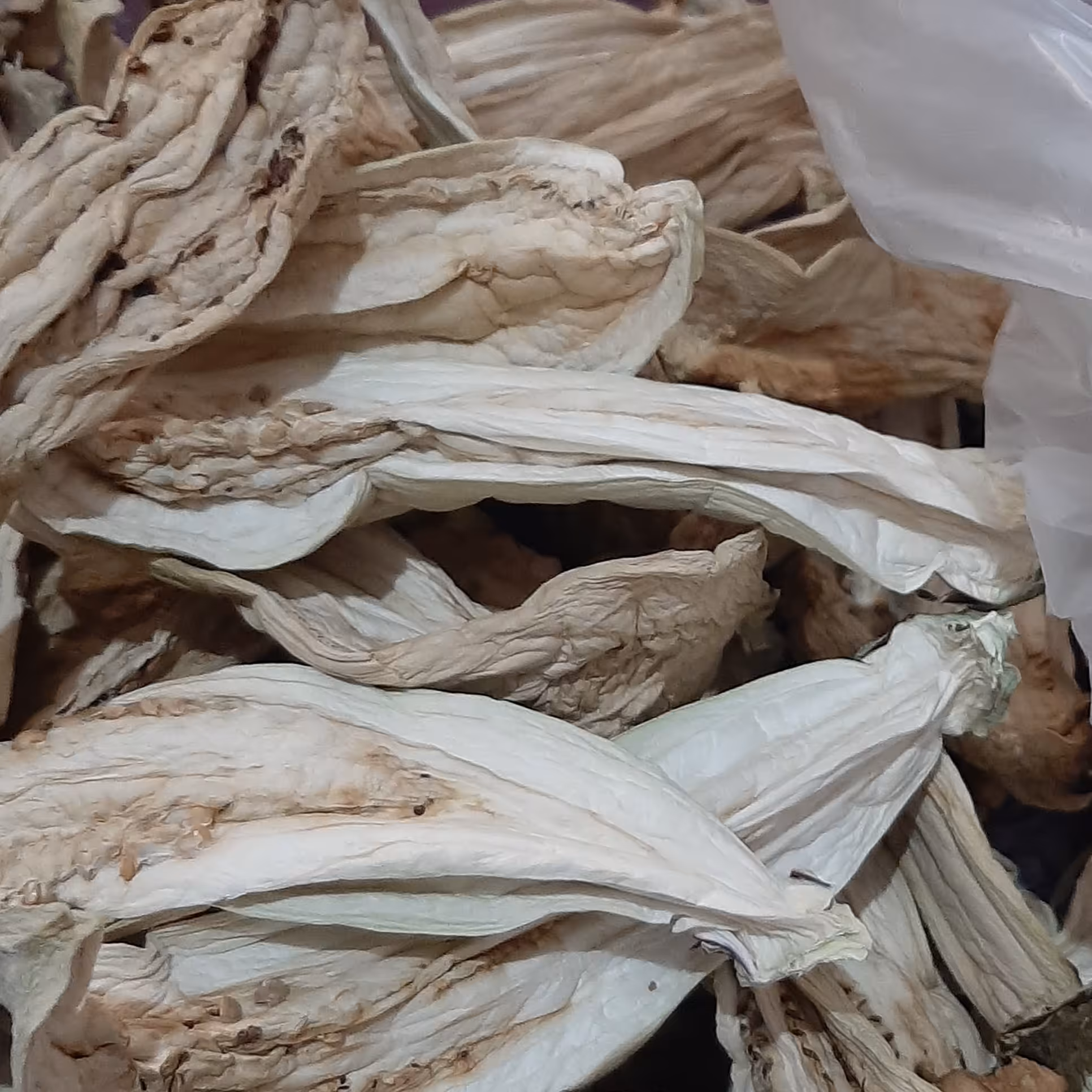 بادمجان خشک ،هرمزگان بسته بندی 100گرمی بسیار با کیفیت وقیمت مناسب، کاملا بهداشتی ، محصول شد