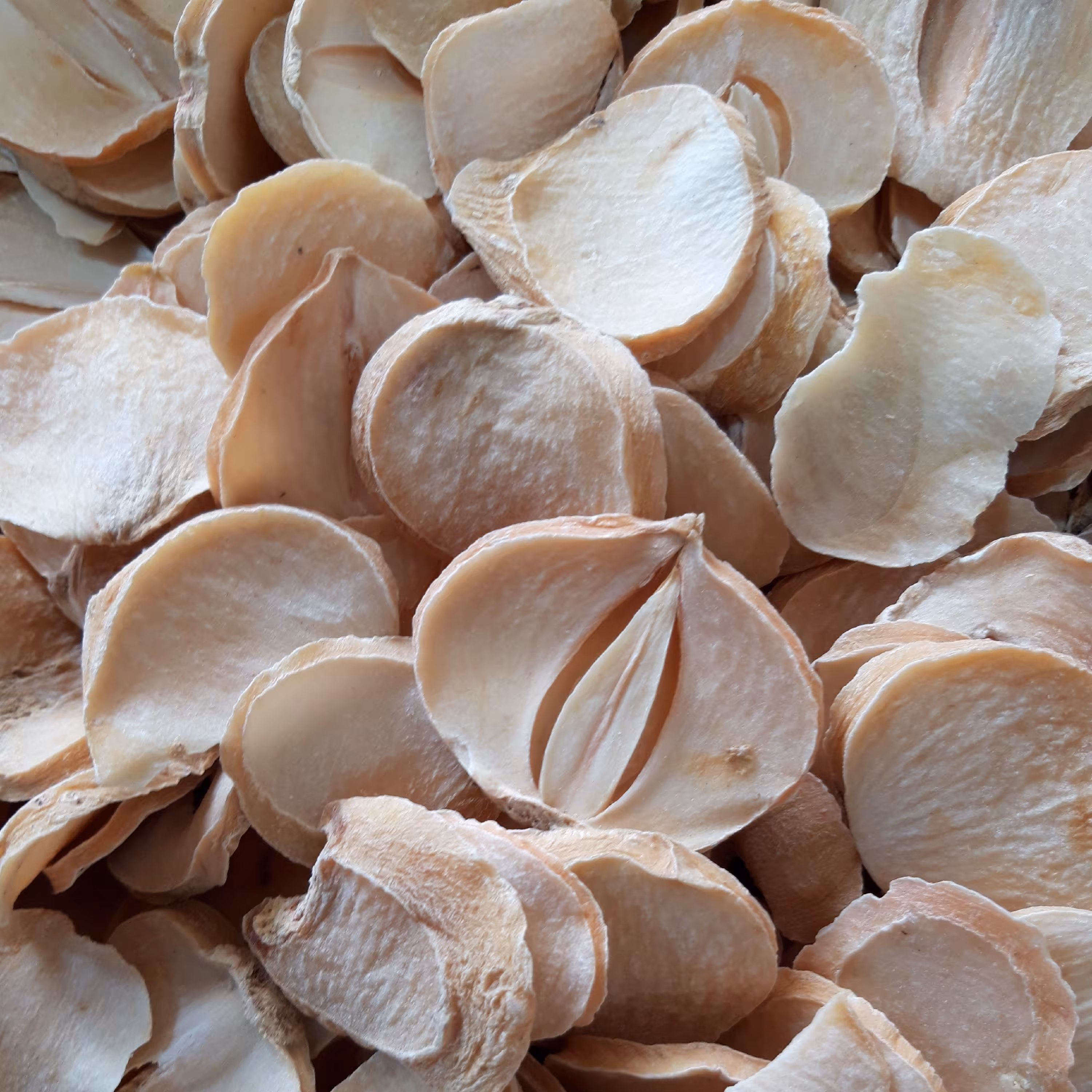 موسیر کوهی ارگانیک از ارتفاعات کوهای پر از برف کوهرنگ