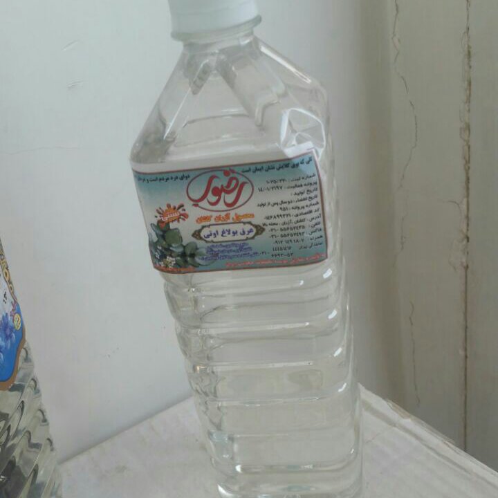عرق بولاغ اوتی