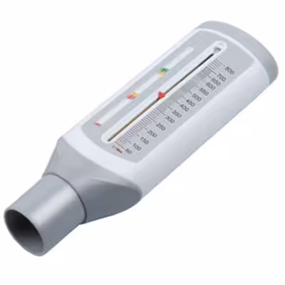 اسپیرومتری بزرگسال رزمکس مدل ROSSMAX PF 120 A | فروشگاه اینترنتی تاتا کالا