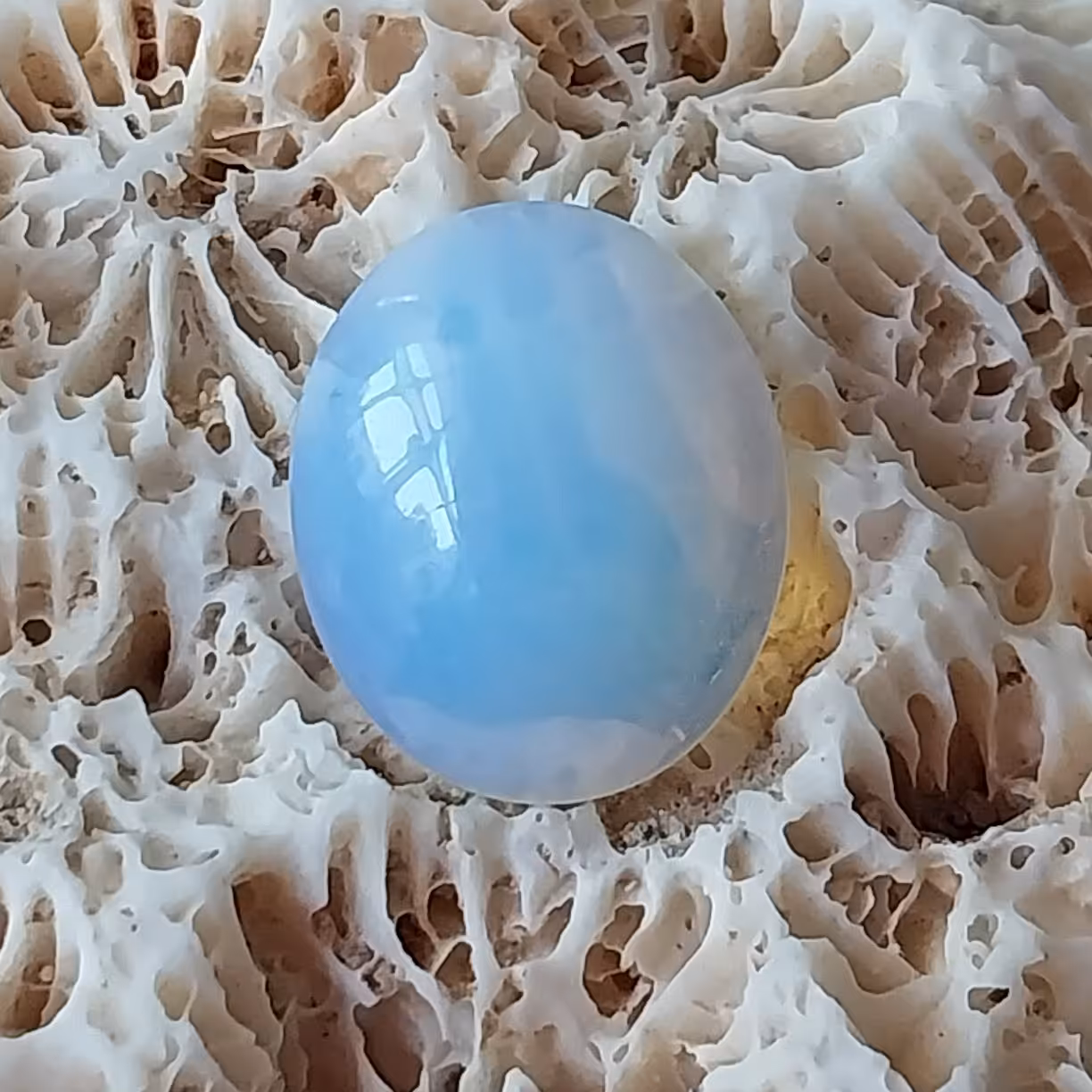 نگین اوپال طبیعی و اصل