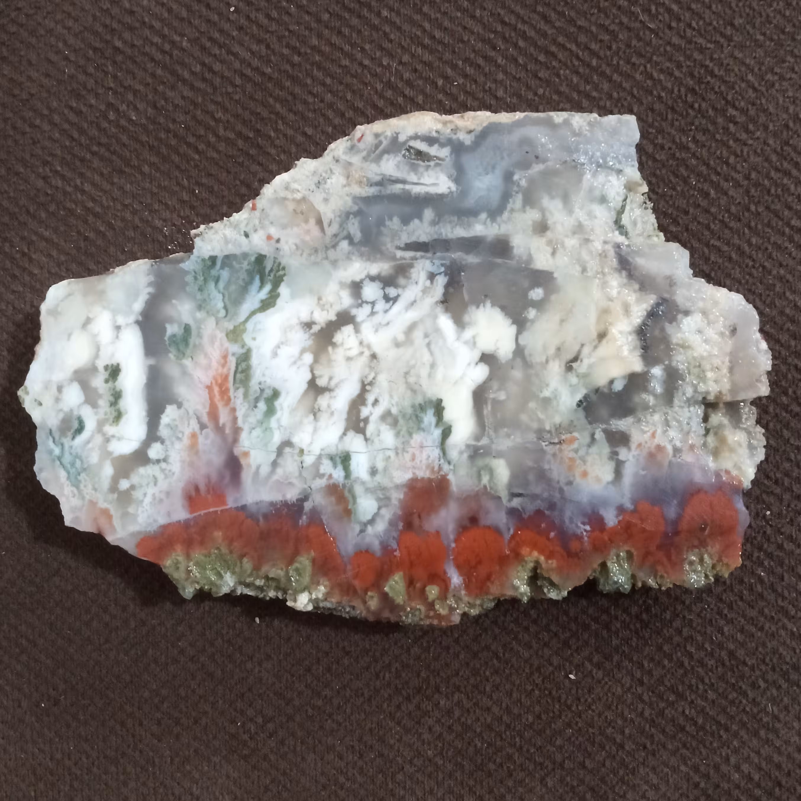 اسلایس شجر قرمز مناسب برای نگین انگشتر و گردنبد 