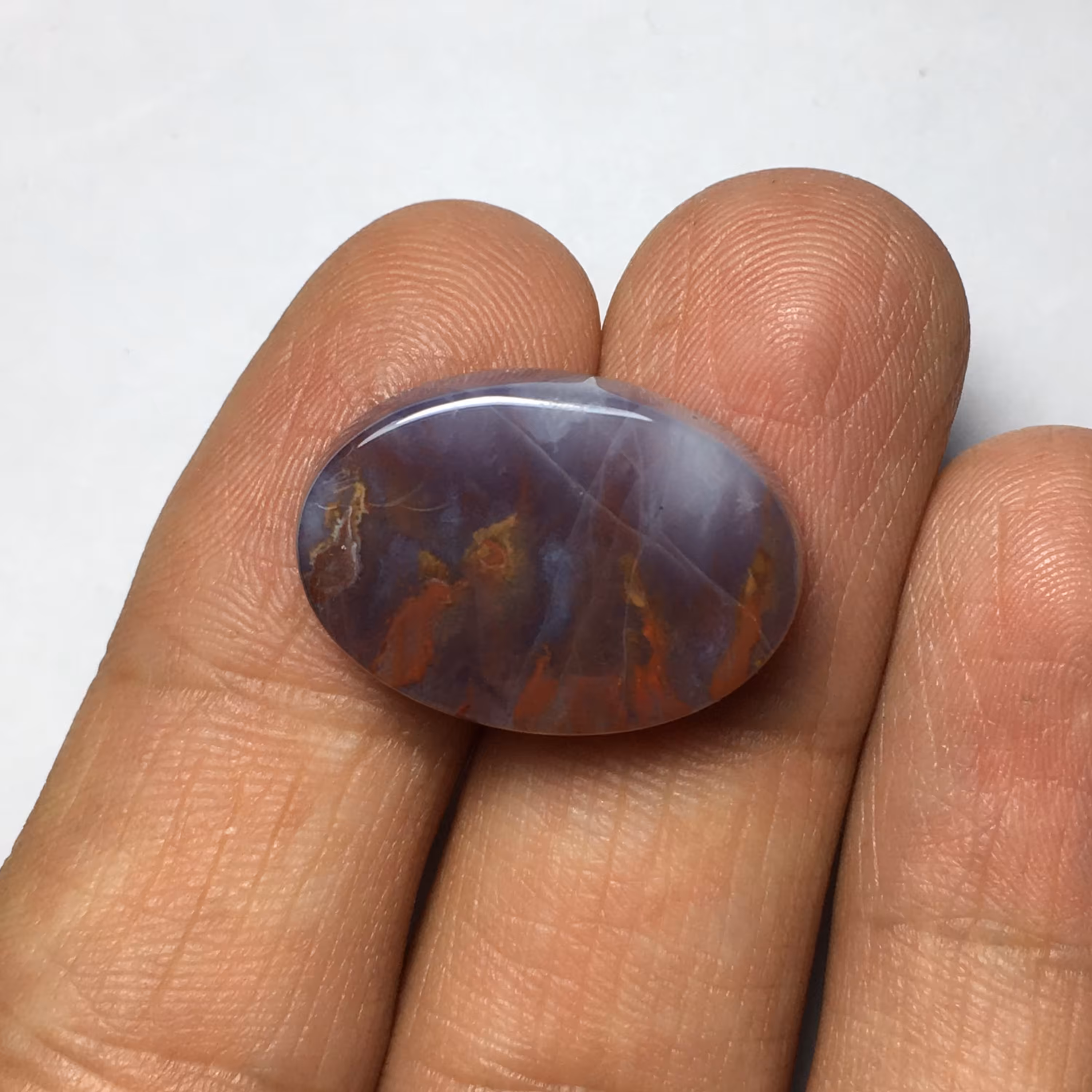 نگین شجر پاییزی خوش طرح