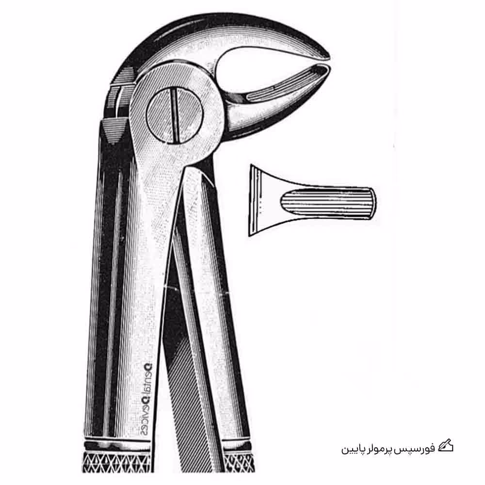 فورسپس پرمولر پایین