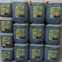 روغن زیتون طارم اعلا در دو نوع بدون بو و بابو گالن 22 لیتری