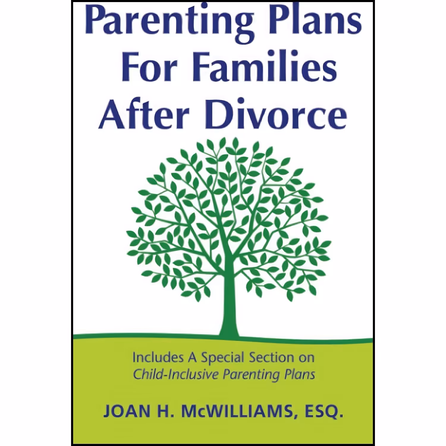 کتاب زبان اصلی Parenting Plans for Families After Divorce اثر Joan H McWilliams