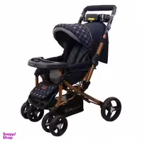 کالسکه دلیجان (Delijan) مدل Benita Plus