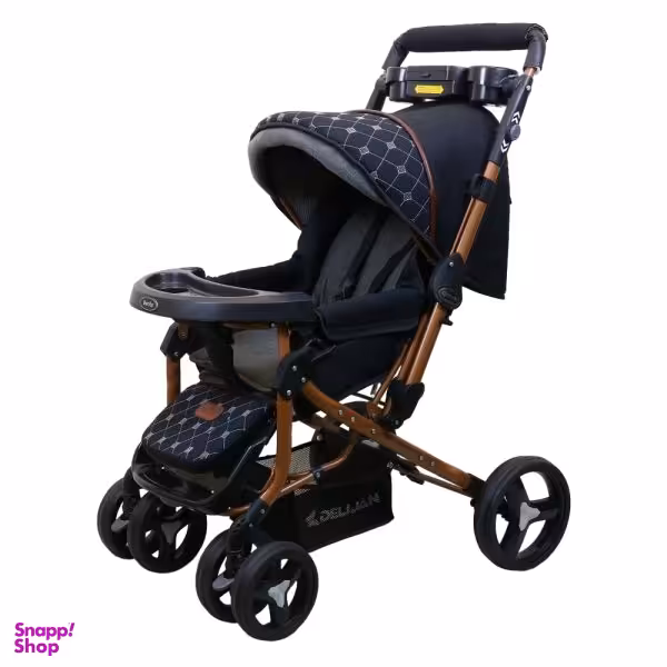 کالسکه دلیجان (Delijan) مدل Benita Plus