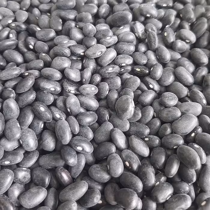 لوبیا سیاه دستچین خمین بدون شکستگی و خرابی فوق اعلا 500 گرمی