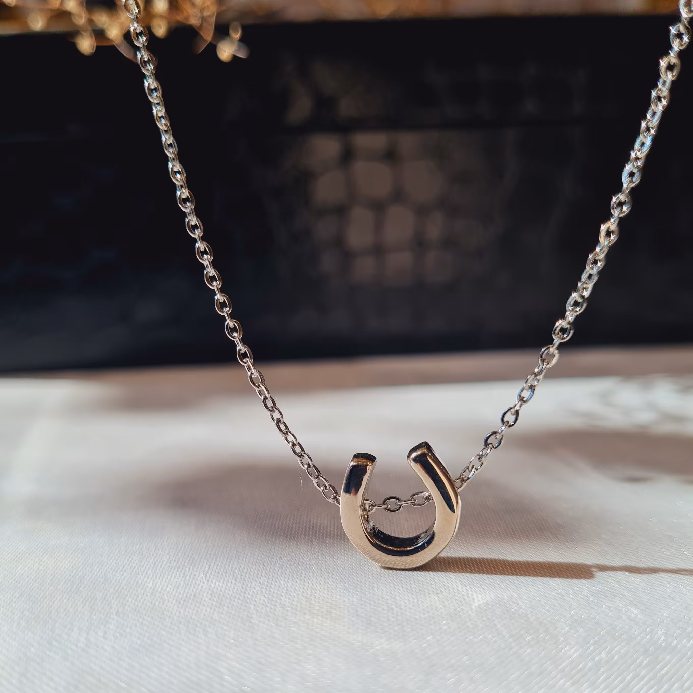 گردنبند نعل استیل رنگ ثابت و ضد حساسیت 