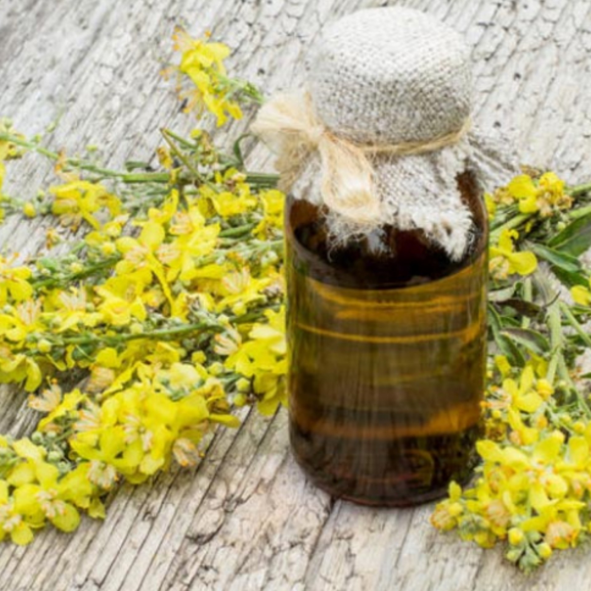 روغن خرگوشک 30سی سی مناسب پوست و مو