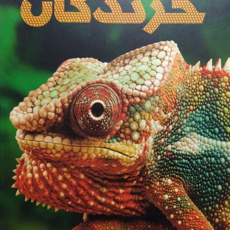 دانشنامه مصور خزندگان