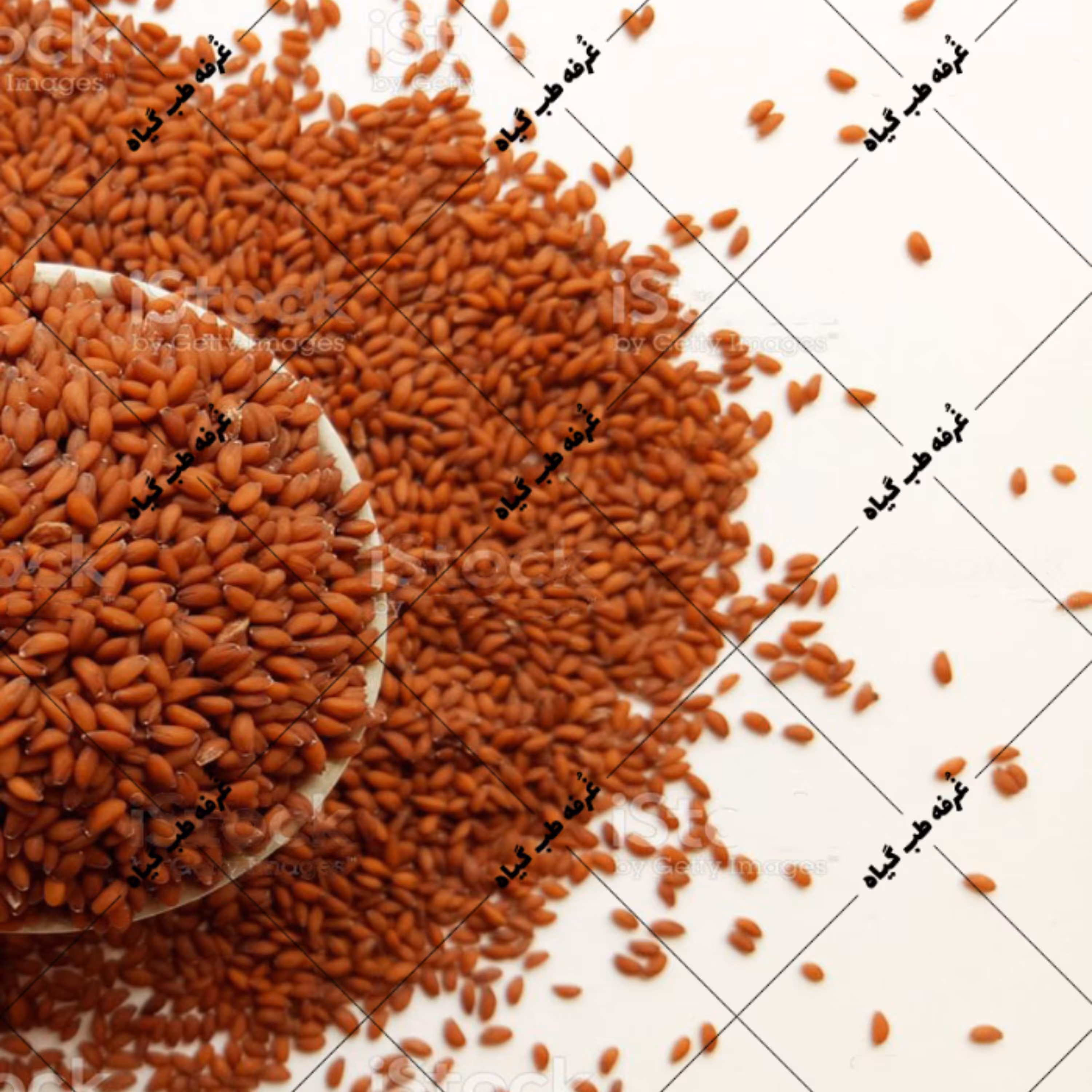 تخم شاهی-100گرمی-مناسب کاشت و مصرف در ترکیب گیاهی