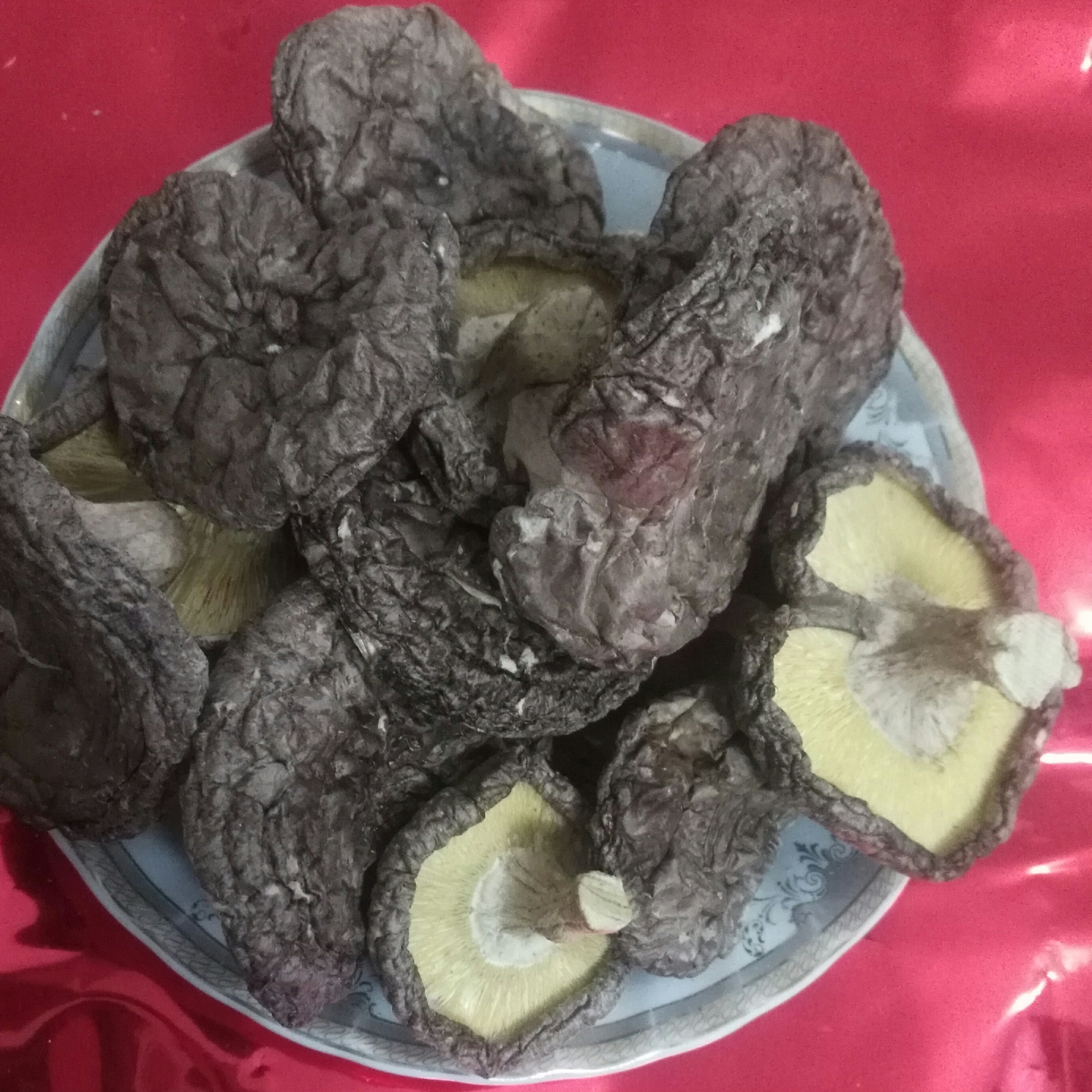 قارچ شیتاگه صد گرم .اصل ویژه زگیل تناسلی،اچ پی وی،تبخال تناسلی