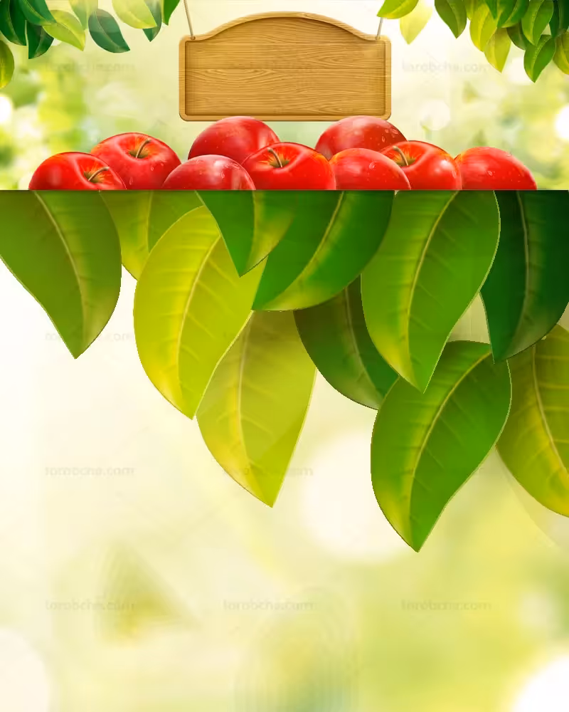 وکتور پس زمینه سیب های قرمز | گرافیک با طعم تربچه