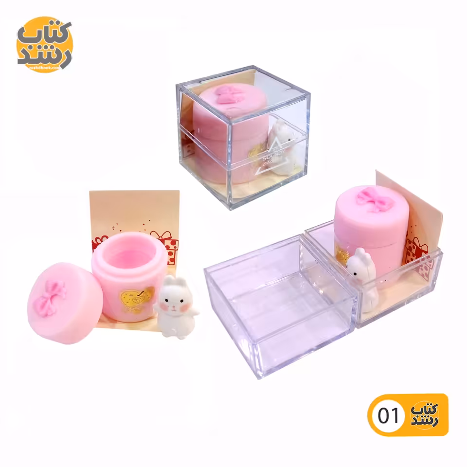 پاک کن فانتزی جعبه دار طرح متنوع مدل GB 21027