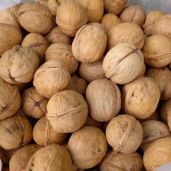 گردو بلغاری 1کیلوگرم(پوست کاغذی)