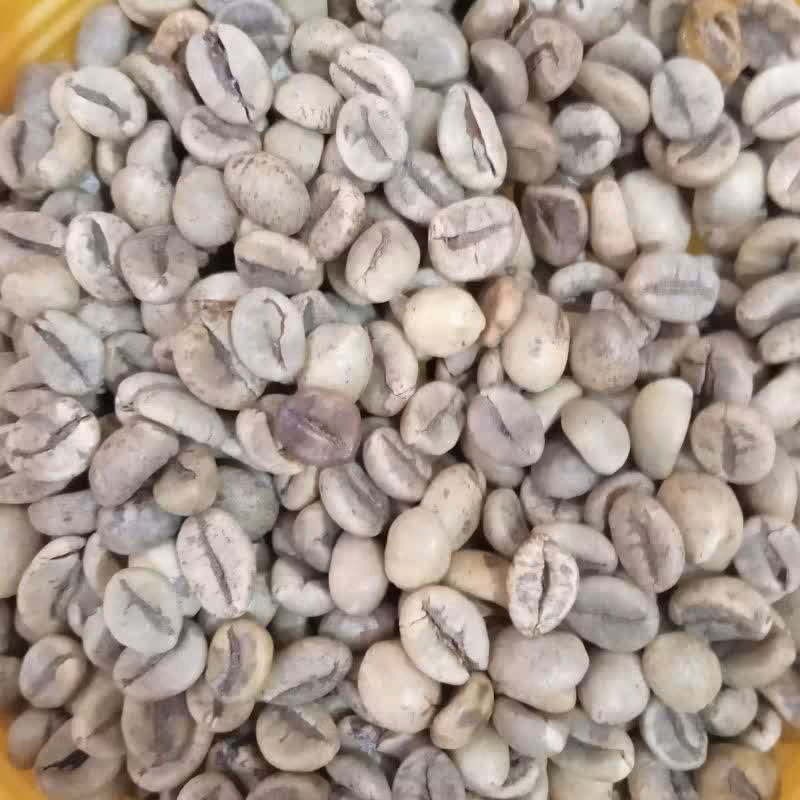 قهوه سبز 100 گرمی