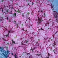 گلاب درجه یک 4لیتری