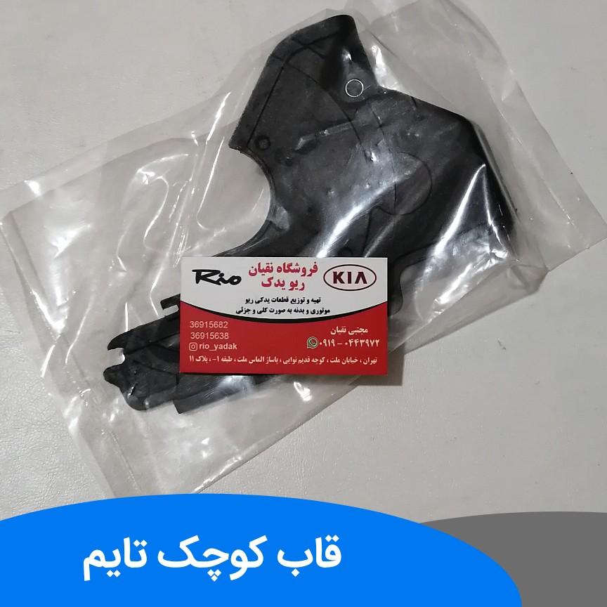 قاب تسمه تایم کوچک ریو
