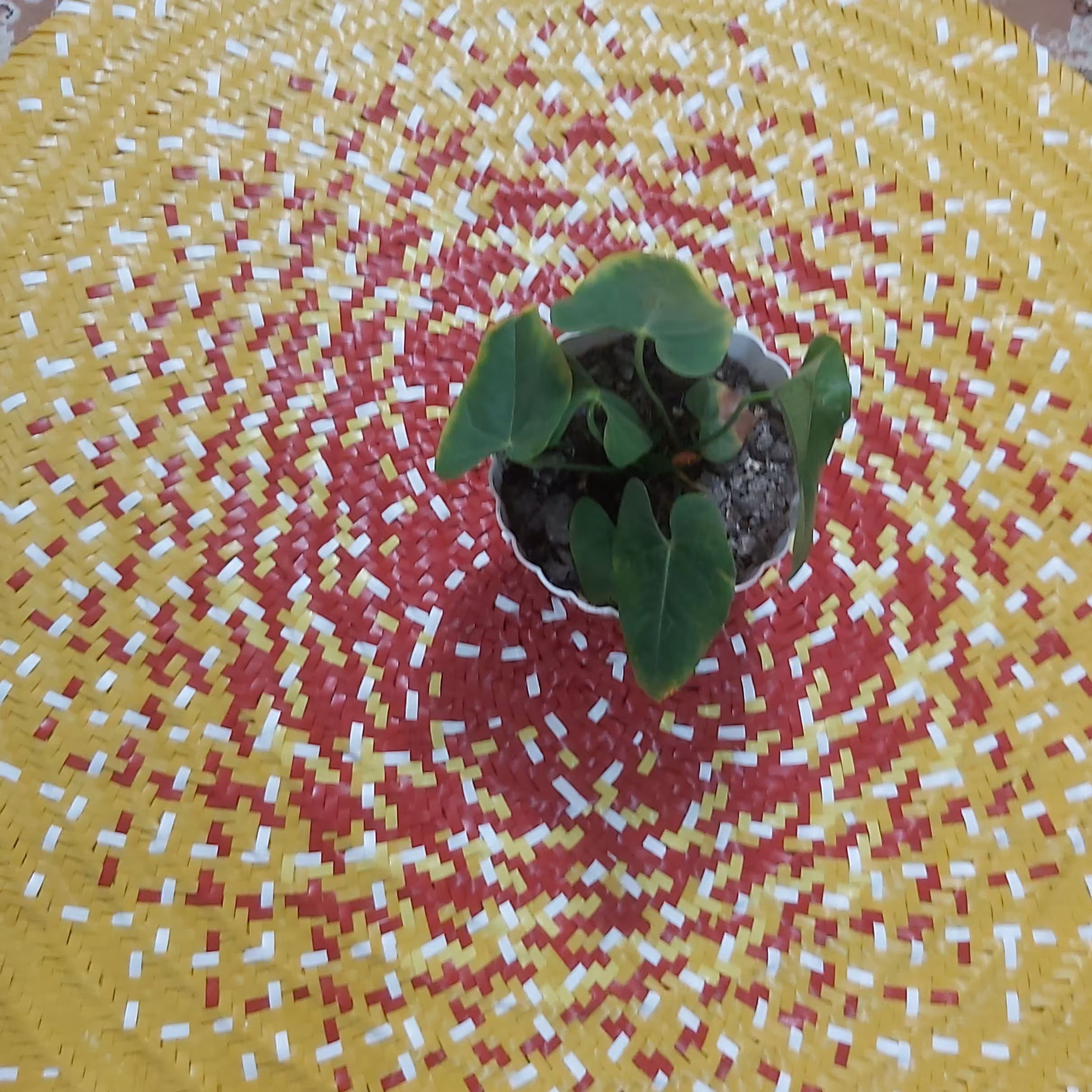 سفره،100سانت،تسمه ای،قابل شستشو