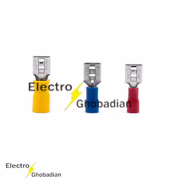 سرسیم فیشی مادگی