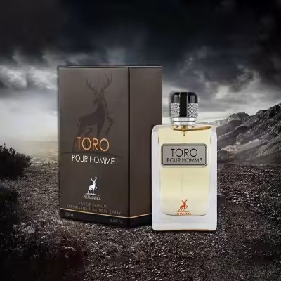 عطر ادکلن مردانه تق هرمس الحمبرا - ماندگاری و پخش بو عالی - بسیار با کیفیت - 100 میل - اورجینال