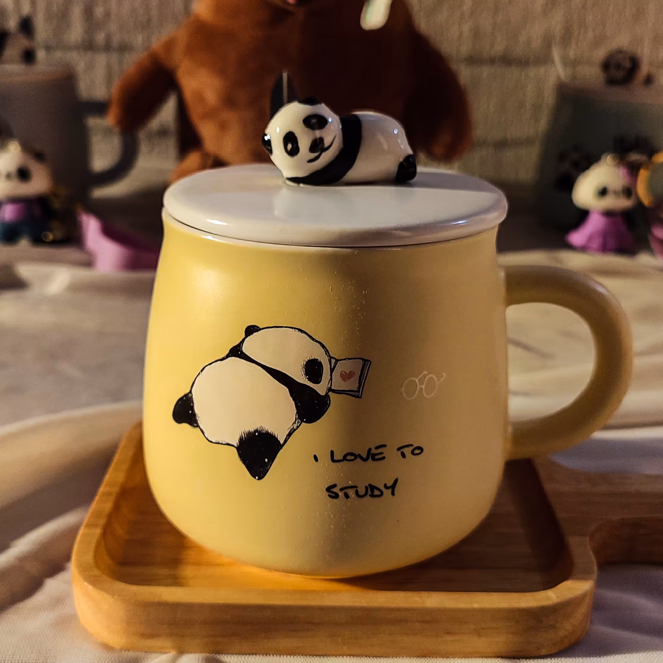 ماگ درب پاندایی