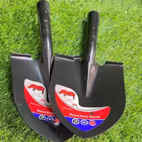 بیلچه مغنی کرگدن