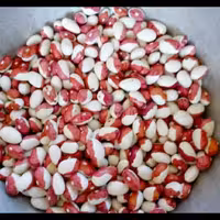 لوبیا بری بست درشت یا لوبیا چشم بلبلی دورنگ 25عدد