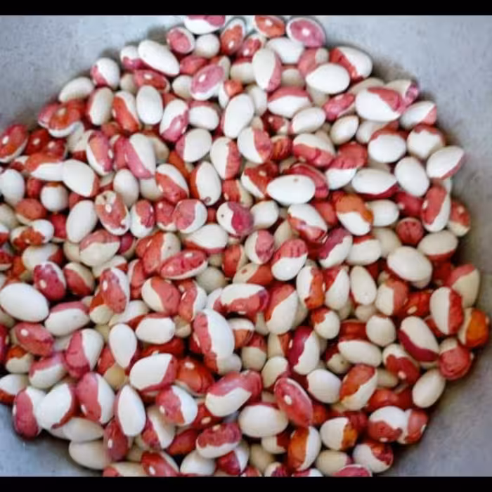 لوبیا بری بست درشت یا لوبیا چشم بلبلی دورنگ 25عدد