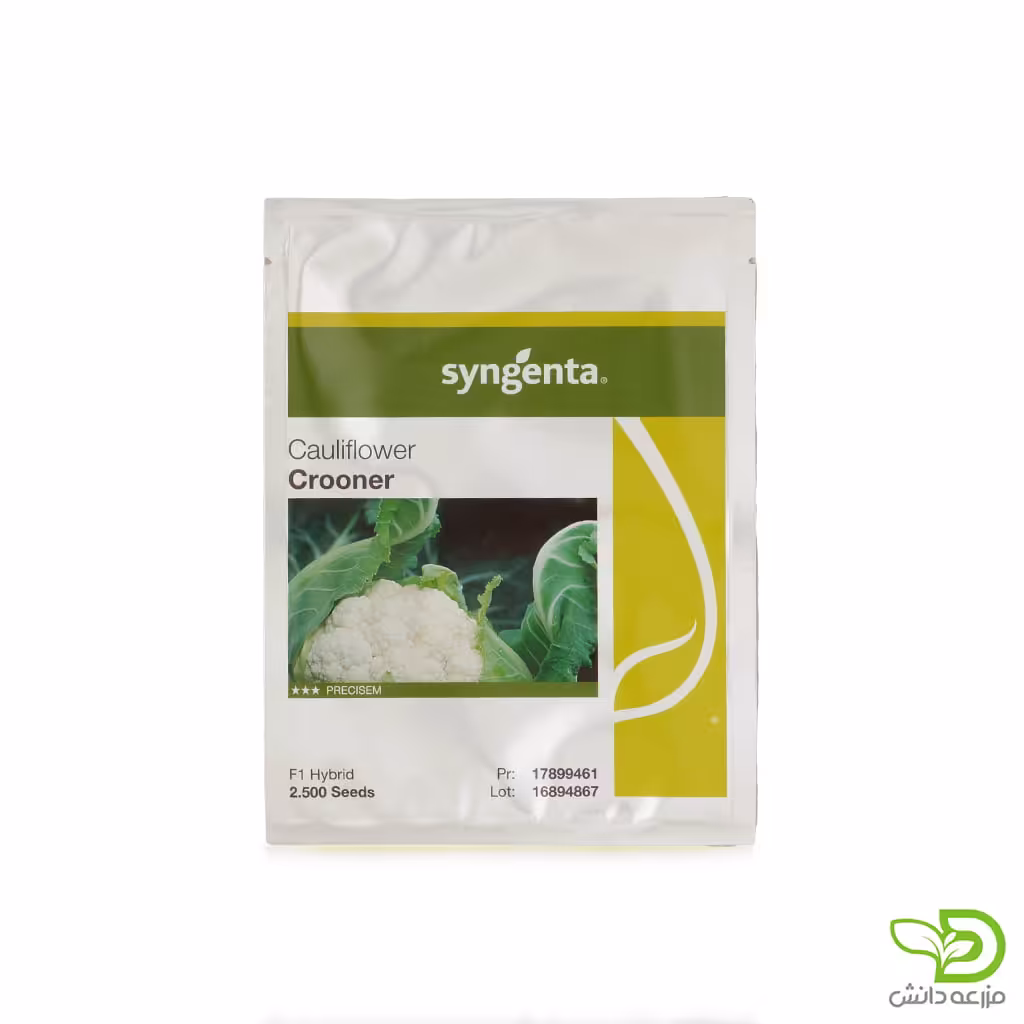 بذر گل کلم کرونر سینجنتا