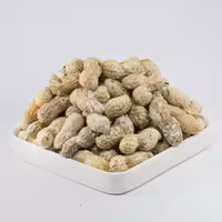 بادام زمینی با غلاف شور آستانه بیرنات (100 گرم)