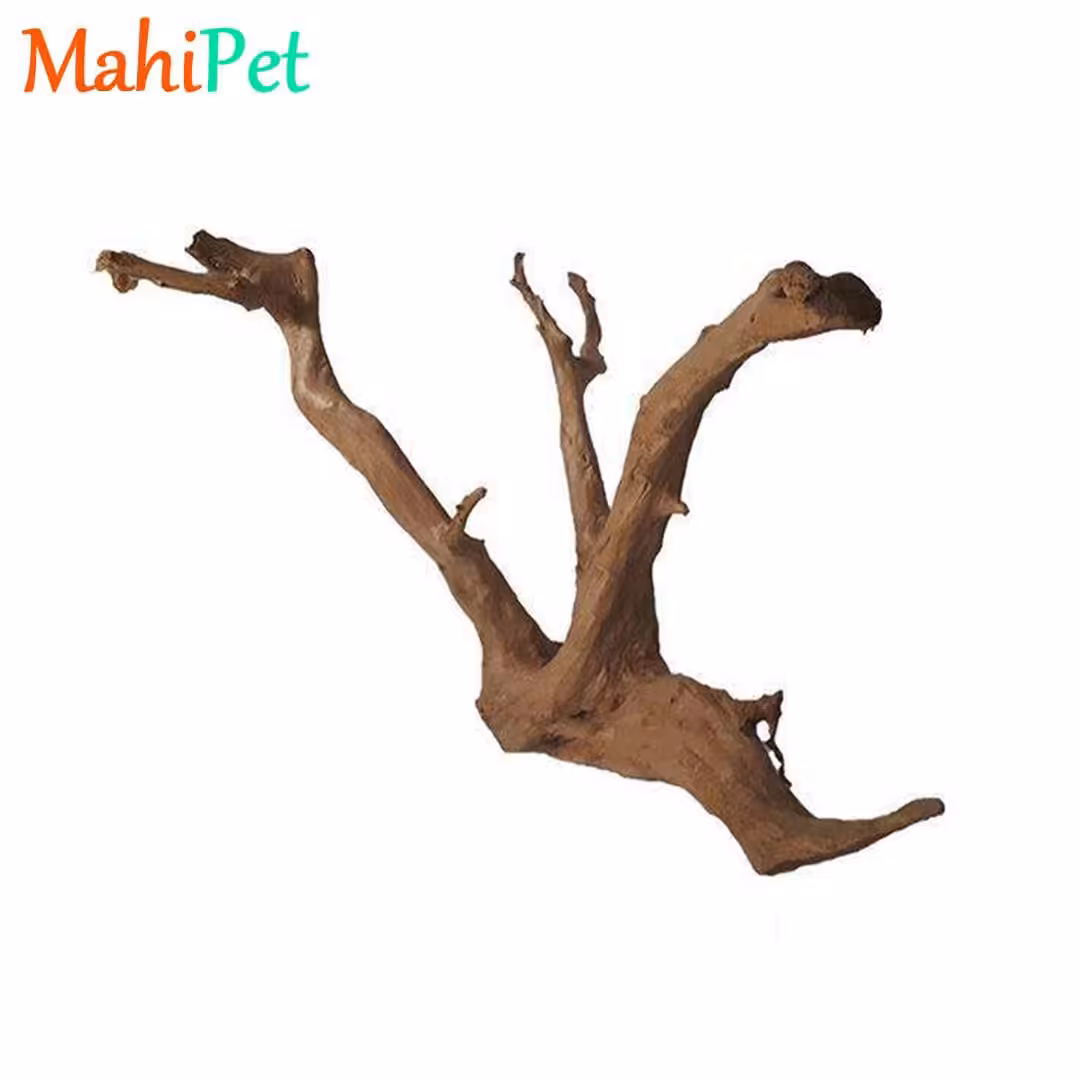 ریشه آبنوس وزن 50 تا 100 گرم