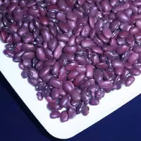 حبوبات لوبیا قرمز ظرف مخصوص 800 گرمی